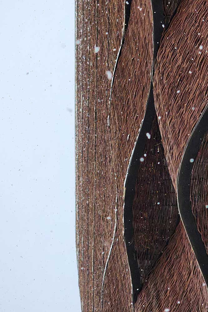 IMG_20240518_092751_221