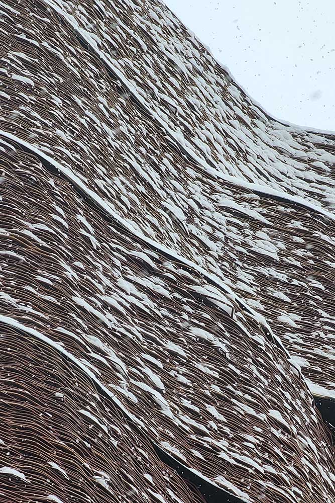 IMG_20240518_092751_463