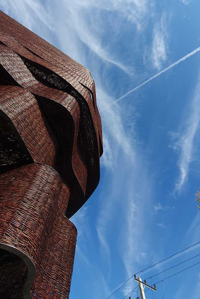 IMG_20240518_162413_657