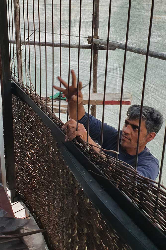 IMG_20240518_162423_839