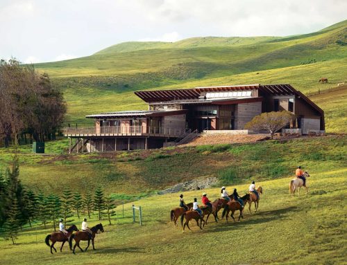 آزمایشگاه انرژی آکادمی هاوایی؛ معماریِ سبزِ هوشمند در دامنه‌های کوه کوهالا، دفتر معماری فلنزبرگ آرکیتکتز