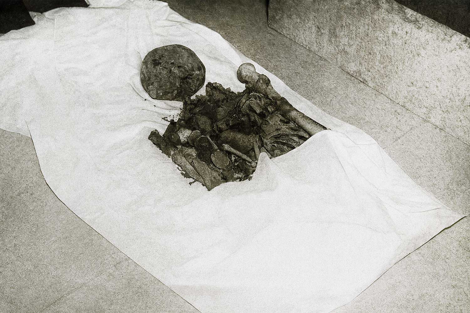 Mausoleum-of-Nader-Shah-Afshar-Houshang-Seyhoun (2)