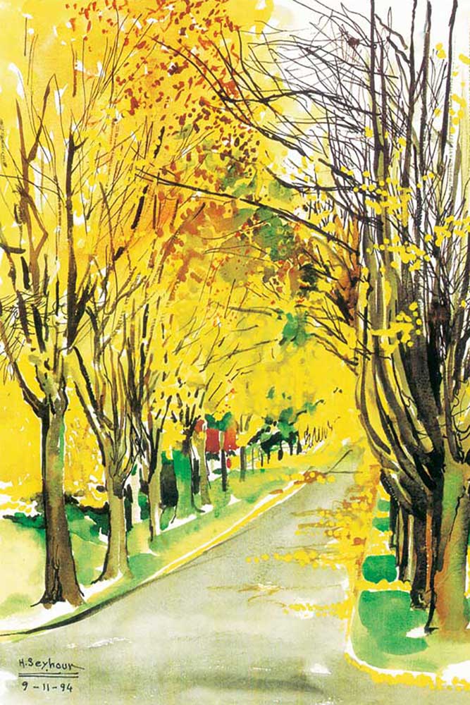 Sketches-of-Houshang-Seyhoun-11