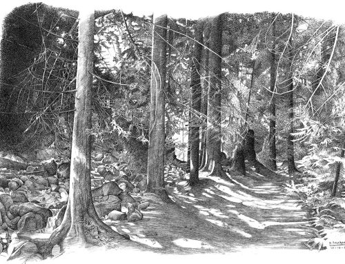 کروکی‌های هوشنگ سیحون از مناظر طبیعی جهان