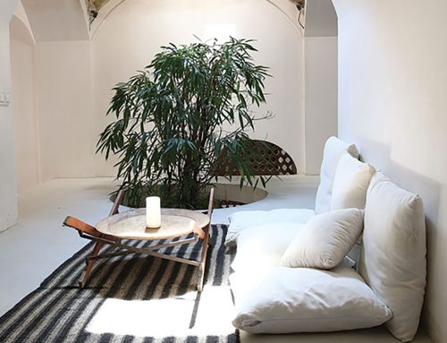 خانه‌ی گلچقانه، اثر ساسان رضاپوریان